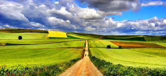 Why Santiago de&nbsp;Compostela?