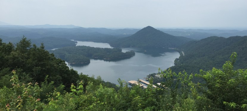 Live, Love. . . Let’s Do&nbsp;This