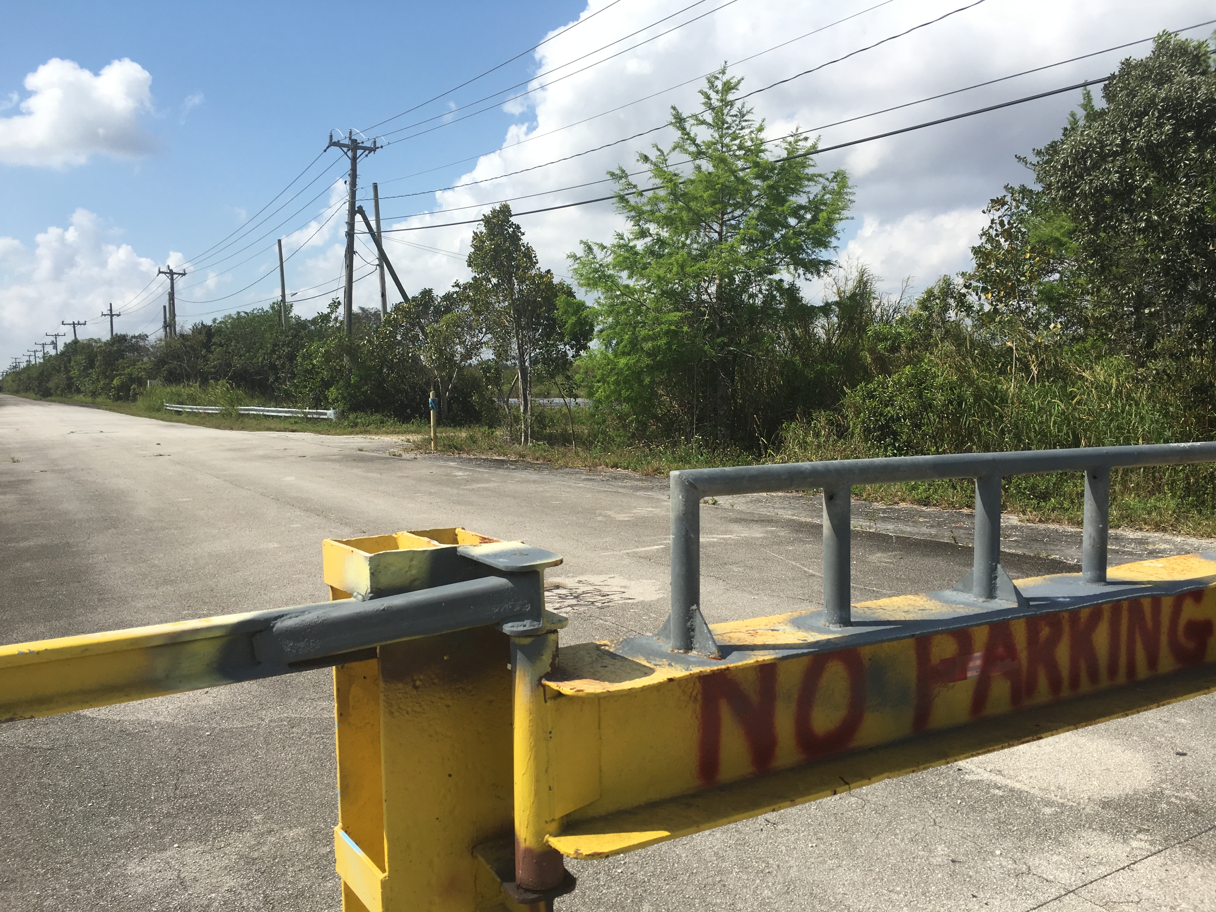 IMG_8788 - Copy - Copy