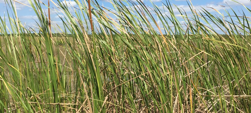 Old Ingraham Highway