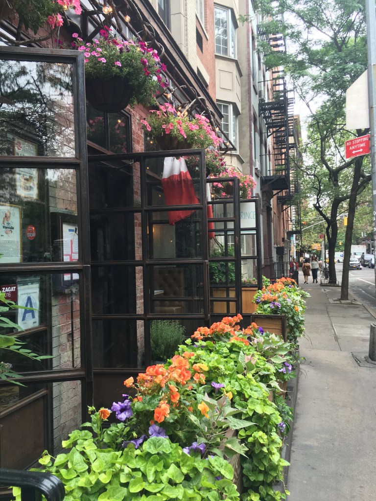 IMG_9706 - Copy - Copy