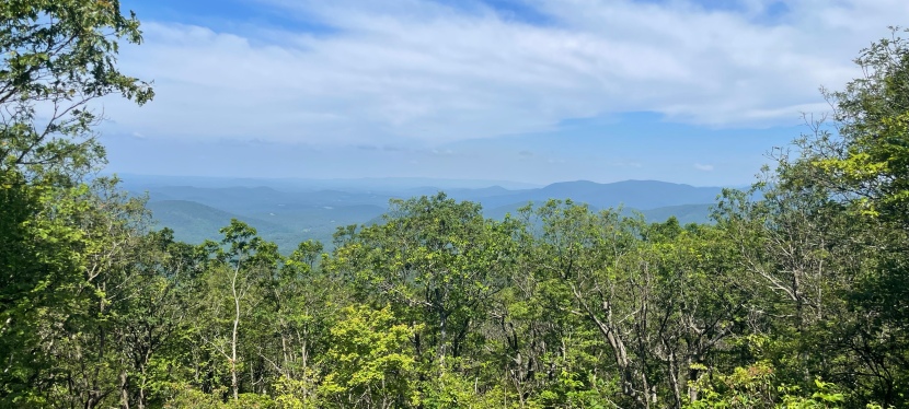 Hiking the Springer Mountain Trail to the Beginning of the Appalachian Trail