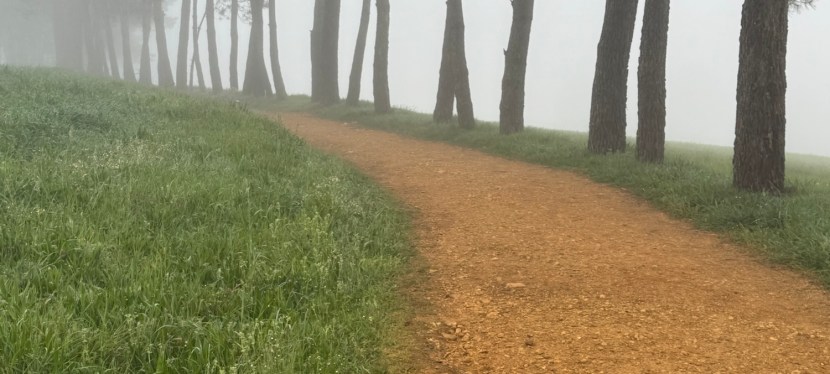 Lessons from the Trail: Why I Didn’t Finish Day 2 of the Camino